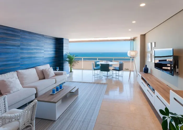 Ag Bermudas Premium *