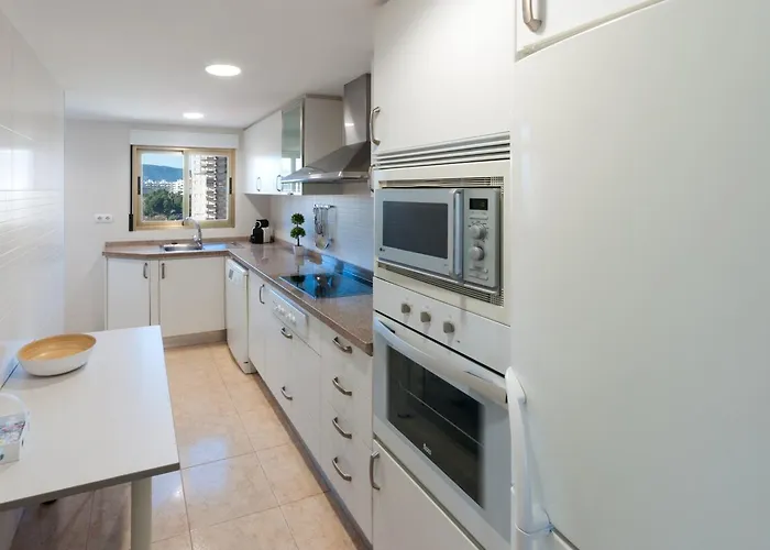 Ag Bermudas Premium *