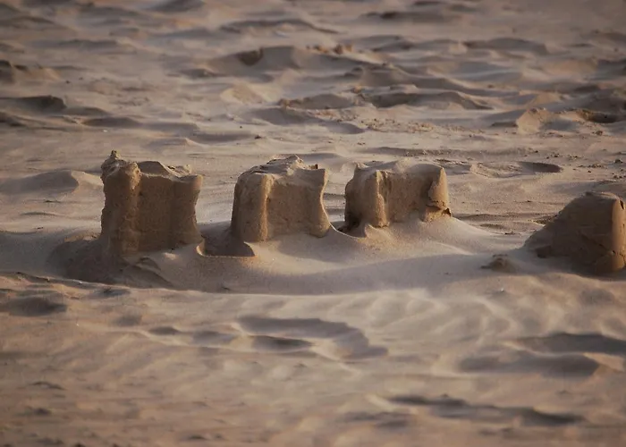 Ag Bermudas Premium * Gandía