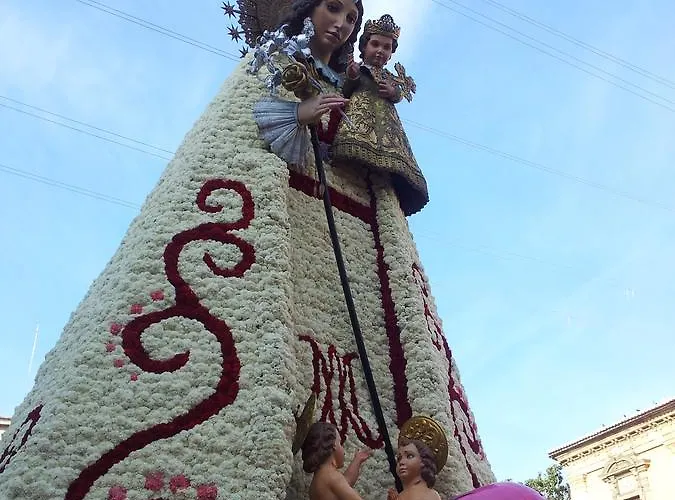 Ag Bermudas Premium Gandía