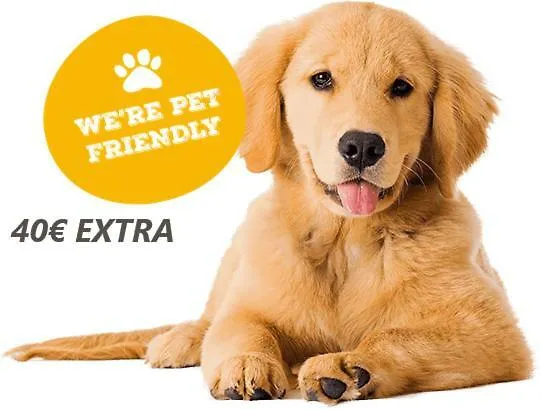 Ag Bermudas Premium Gandía