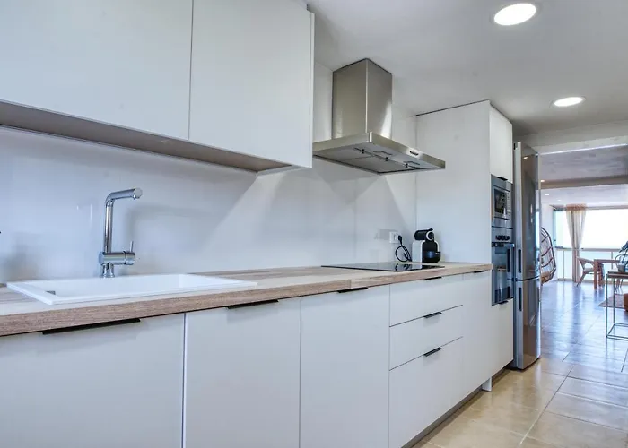 Ag Bermudas Premium *