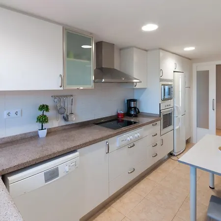 Daire Ag Bermudas Premium *