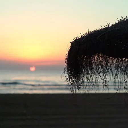 Daire Ag Bermudas Premium *