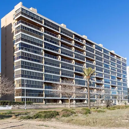 Daire Ag Bermudas Premium Gandía