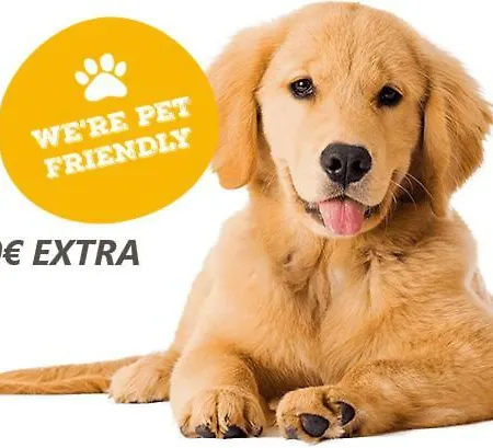 Ag Bermudas Premium Gandía