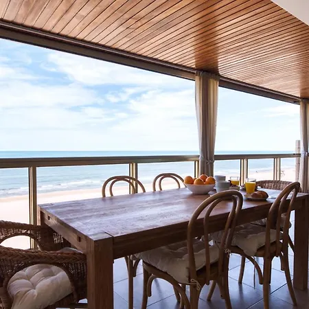 Daire Ag Bermudas Premium